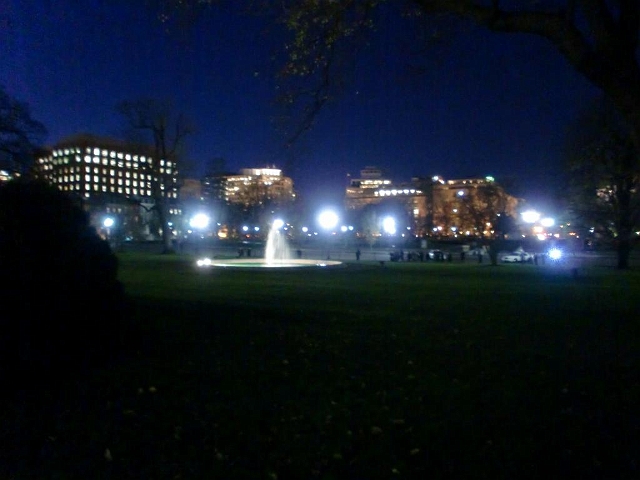 White House Christmas 2009 100.jpg